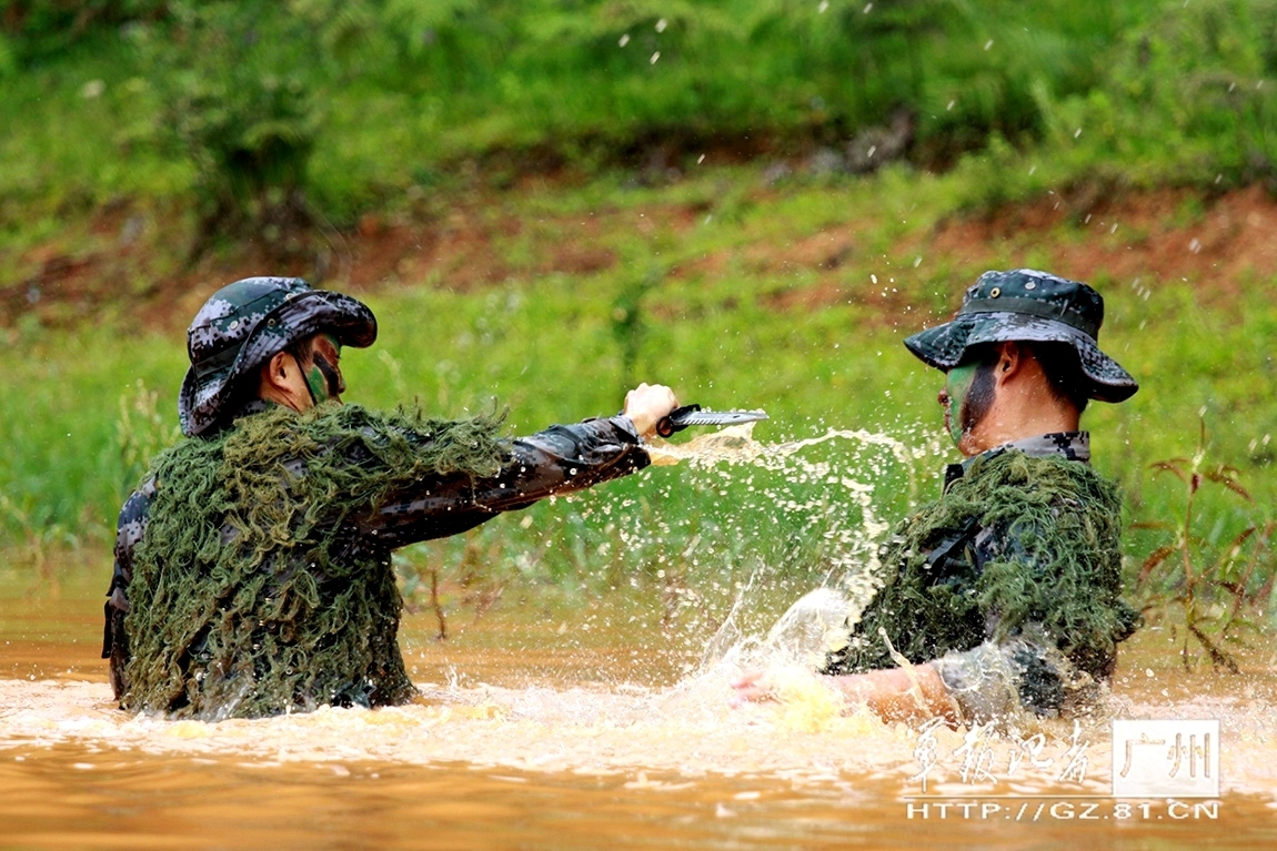 4949澳门开奖免费大全,动态解析词汇_2024款 1.6L CVT致领版BQK9871