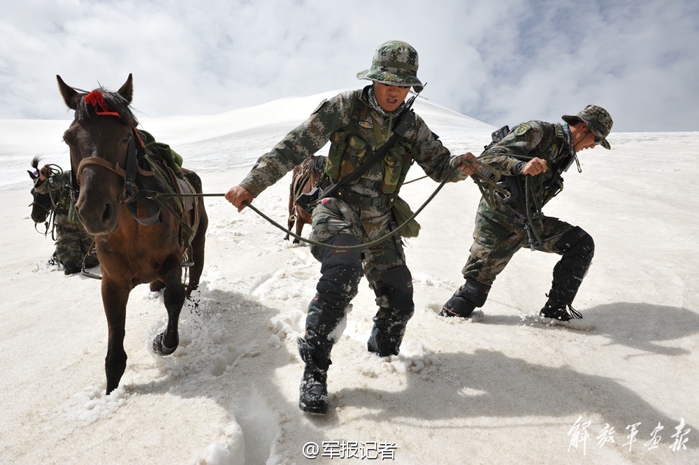 2024澳门天天开好彩大全开奖记录,最新分析解释落实_2024款 2.4L 两驱自动超豪华版国三TFU3384