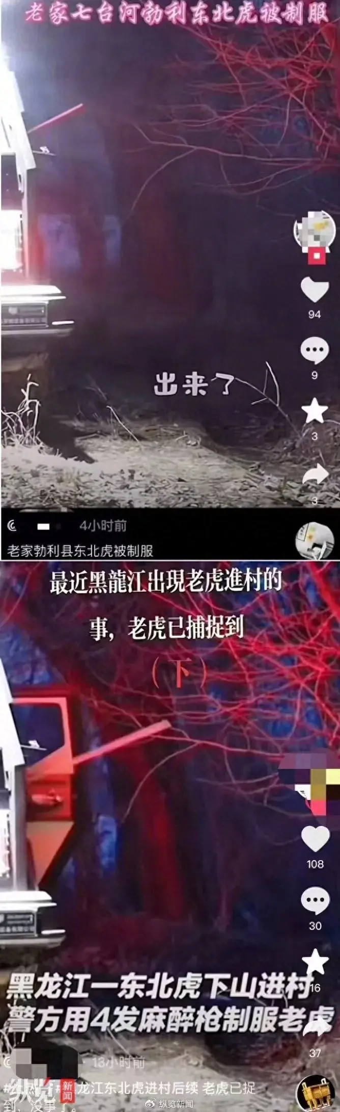 澳门一肖一码100%精准免费，探讨说明：黑龙江伤人老虎已被制服，官方回应引热议！  