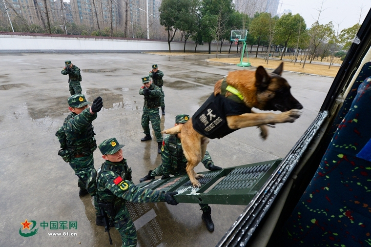 香港二四六天天开奖免费资料观看，连接解答解释落实：法国专家：世界需要共同捍卫多边主义 APEC和G20提供新机遇